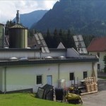 bergmann1